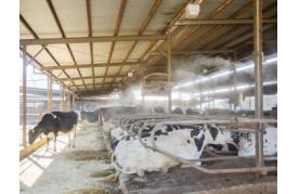 Cooling and Disinfection System for Livestock Farming CoolPescon®